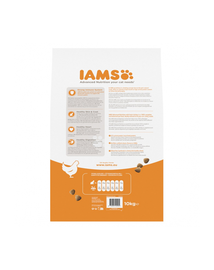 IAMS Proactive Health Adult - sucha karma dla kota - 10 kg główny