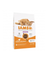 IAMS Adult Hairball Control - sucha karma dla kota - 10 kg - nr 1