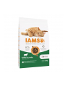 IAMS Vitality cat adult lamb - sucha karma dla kota - 10 kg - nr 1