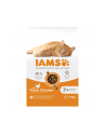 IAMS Vitality Senior - sucha karma dla kota - 10 kg - nr 1