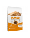 IAMS Vitality Senior - sucha karma dla kota - 10 kg - nr 2