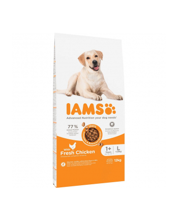 IAMS Vitality Adult Large - sucha karma dla psa - 12 kg