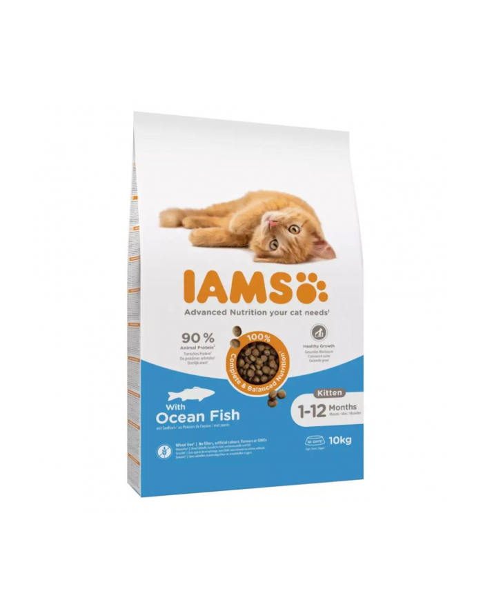 IAMS Kitten Ocean Fish - sucha karma dla kota - 10 kg główny