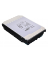 Synology HDD Enterprise (12TB; 35'';; SATA) HAT5300-12T - nr 3