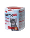 BEAPHAR Lactol Kitty Milk - pokarm mlekozastępczy dla kociąt - 500g - nr 1