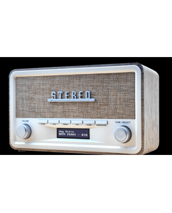 no name Radio retro Denver DAB-18 ligh wood