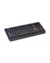 Genesis Thor 230 TKL Czarna RGB Outemu Silent Lemon (NKG2108) - nr 29
