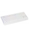 Genesis Thor 230 TKL US RGB Outemu Red Biały (NKG2165) - nr 26