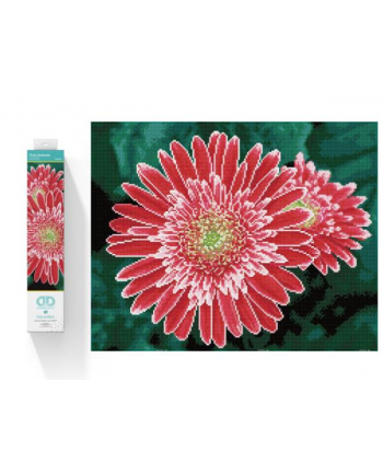 dante Haft diamentowy Diamond Dotz Diamentowa mozaika Gerbera różowa 58x48cm DQ10001