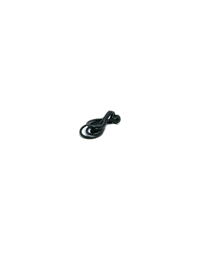 LENOVO ISG 1.0m C13 to C14 Jumper Cord Rack Power Cable główny
