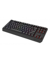 Genesis Thor 230 TKL Czarna RGB Outemu Silent Lemon (NKG2108) - nr 24