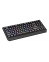 Genesis Thor 230 TKL Czarna RGB Outemu Silent Lemon (NKG2108) - nr 25