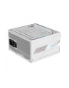 GIGABYTE AORUS ELITE P1000W 80+ Platinm Modular ICE PSU - nr 7