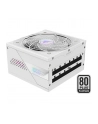 GIGABYTE AORUS ELITE P850W 80+ Platinm Modular ICE PSU - nr 10