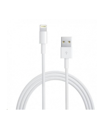 Apple Lightning - USB 2m Biały MD819