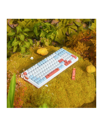 Vgn V98Pro V2 Box Autumn - Maple Sugar (V98PROV2BAMSL) nr 1