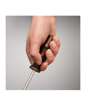 Noctua Nm-Sd1 Screwdriver Torx Tx20 (NMSD1) nr 1