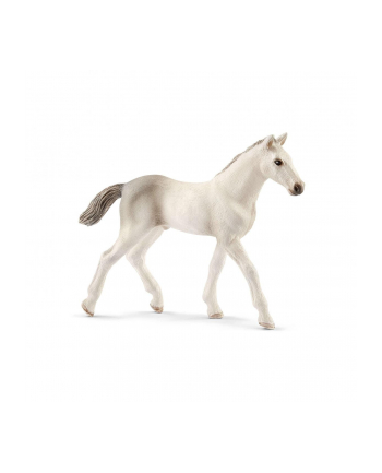 schleich SLH koń holsztyński, źrebię 13860 16418