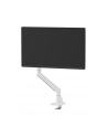 neomounts Uchwyt do monitora biurkowego DS70-250WH1 17-35 cali 9kg - nr 46