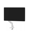 neomounts Uchwyt do monitora biurkowego DS70-250WH1 17-35 cali 9kg - nr 47