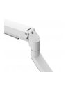 neomounts Uchwyt do monitora biurkowego DS70-250WH1 17-35 cali 9kg - nr 49
