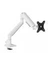 neomounts Uchwyt do monitora biurkowego DS70-250WH1 17-35 cali 9kg - nr 78