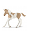 schleich SLH koń Paint Horse źrebię 13886 29424 - nr 1