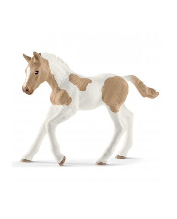 schleich SLH koń Paint Horse źrebię 13886 29424