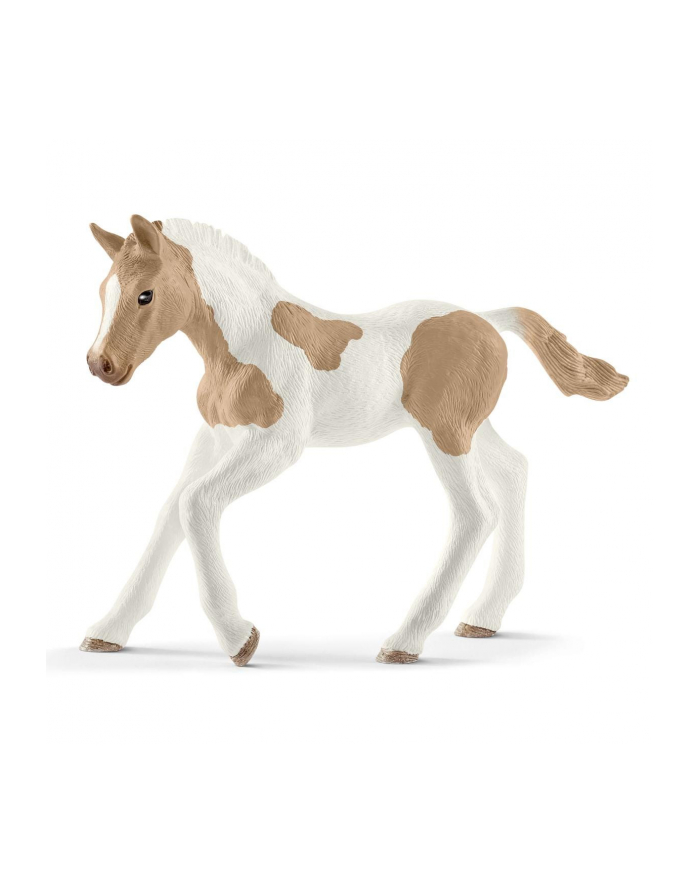 schleich SLH koń Paint Horse źrebię 13886 29424 główny