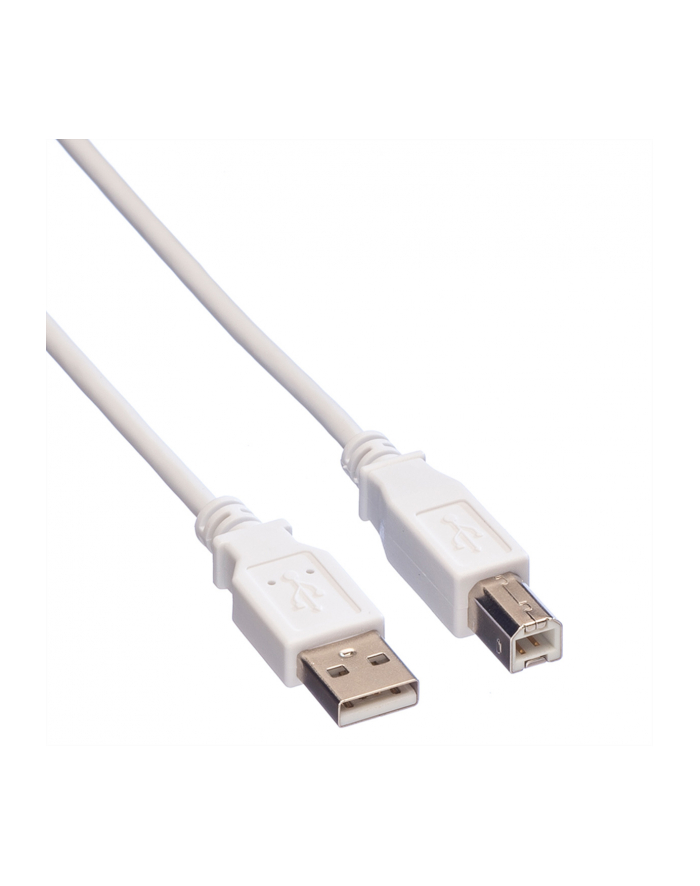 VALUE Kabel USB 2.0 A - Fuji Mini M 0.8m główny