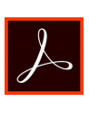 Adobe Acrobat Pro 2020 - nr 1