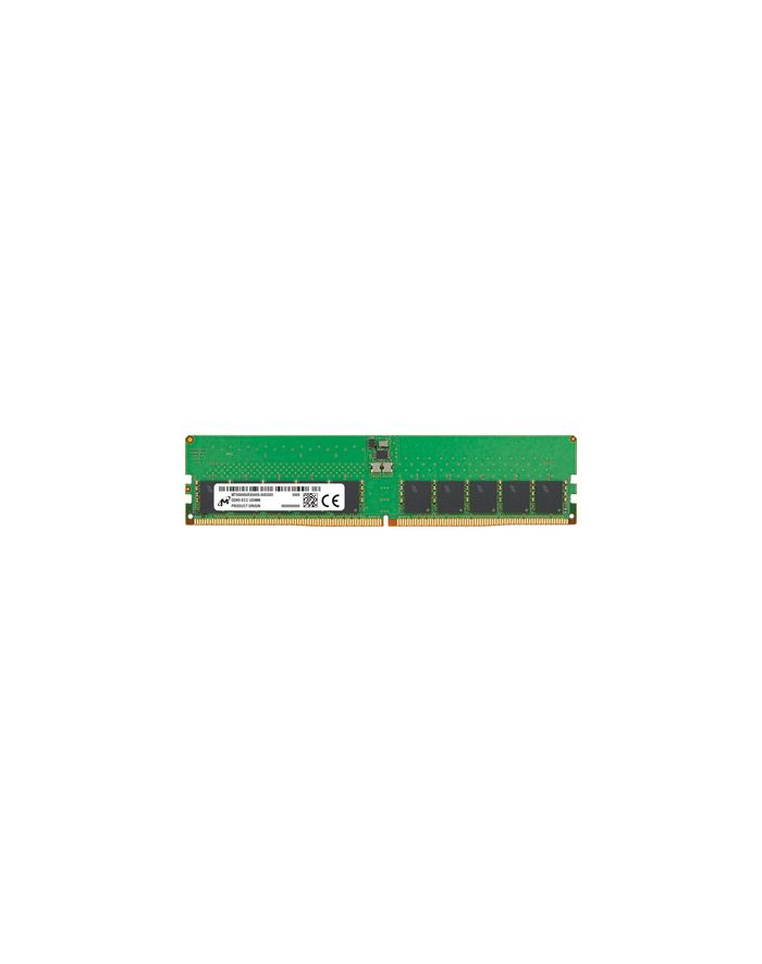 Micron główny