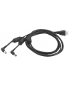 zebra evm CABLE, ASSEMBLY,CABLE,2 WAY DC - nr 7