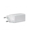 ASUS AC65-05 2C GAN CHARGER/WH/(wersja europejska)/TYPE-C/1.5M C TO C CABLE/20PCS - nr 11