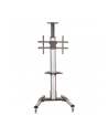 startech TV CART FOR 32 - 70IN DISPLAYS/. - nr 15