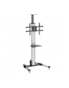 startech TV CART FOR 32 - 70IN DISPLAYS/. - nr 2