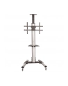 startech TV CART FOR 32 - 70IN DISPLAYS/. - nr 6