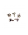 startech PC MOUNTING 6-32 X 1/4 SCREW/. - nr 4