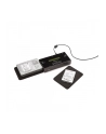 startech SATA/SAS DUPLICATOR + ERASER/. - nr 31