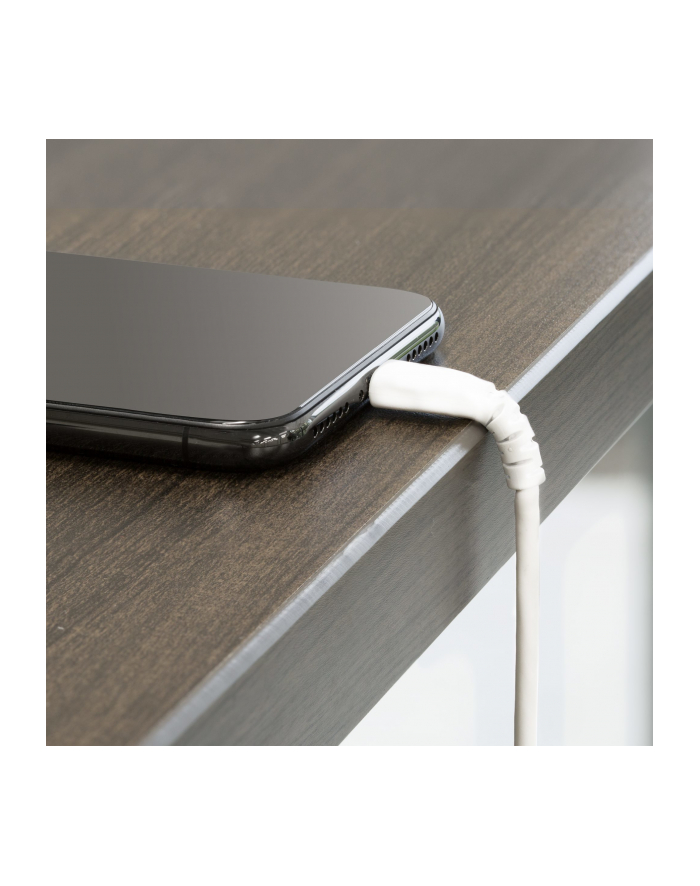 startech 2M USB TO LIGHTNING CABLE/. główny