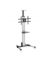 startech TV CART FOR 32 - 70IN DISPLAYS/. - nr 11