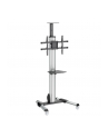 startech TV CART FOR 32 - 70IN DISPLAYS/. - nr 12