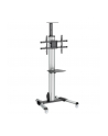 startech TV CART FOR 32 - 70IN DISPLAYS/. - nr 1