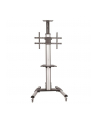 startech TV CART FOR 32 - 70IN DISPLAYS/. - nr 4