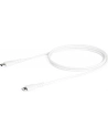 startech USB C TO LIGHTNING CABLE/. - nr 19