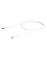 startech USB C TO LIGHTNING CABLE/. - nr 2