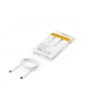 startech USB C TO LIGHTNING CABLE/. - nr 8