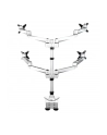 startech QUAD MONITOR MOUNT - PREMIUM/. - nr 20