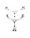 startech QUAD MONITOR MOUNT - PREMIUM/. - nr 29