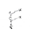startech QUAD MONITOR MOUNT - PREMIUM/. - nr 3